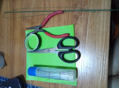 冬青叶？ 第1步