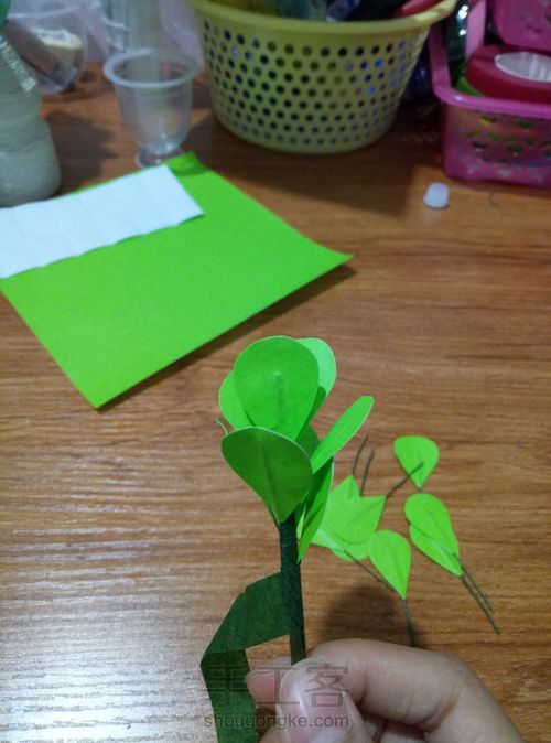 冬青叶？ 第10步