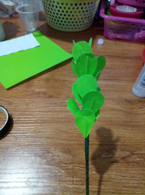 冬青叶？ 第11步