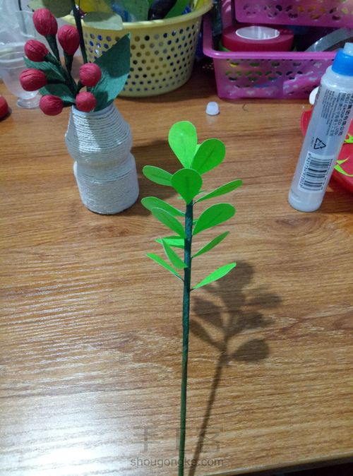 冬青叶？ 第12步