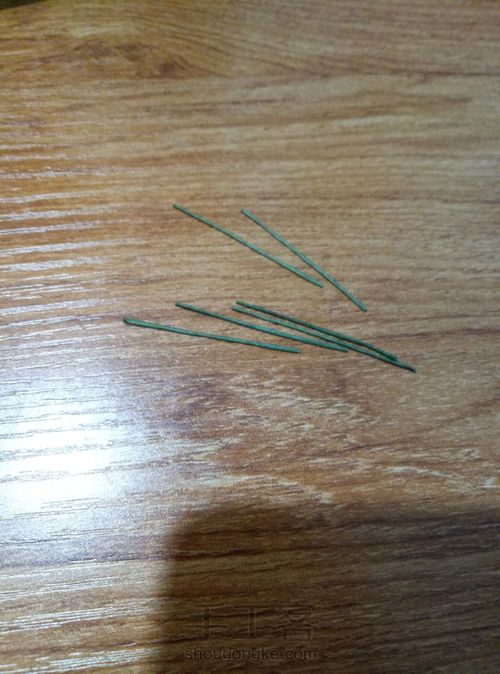 冬青叶？ 第2步