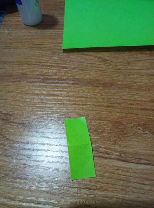 冬青叶？ 第3步