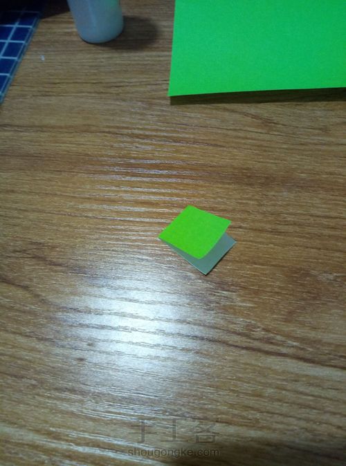 冬青叶？ 第4步