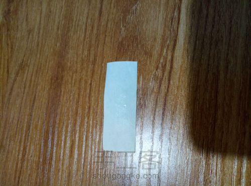 冬青叶？ 第5步