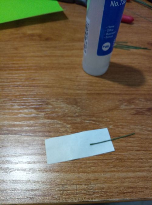 冬青叶？ 第6步