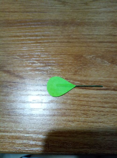 冬青叶？ 第8步