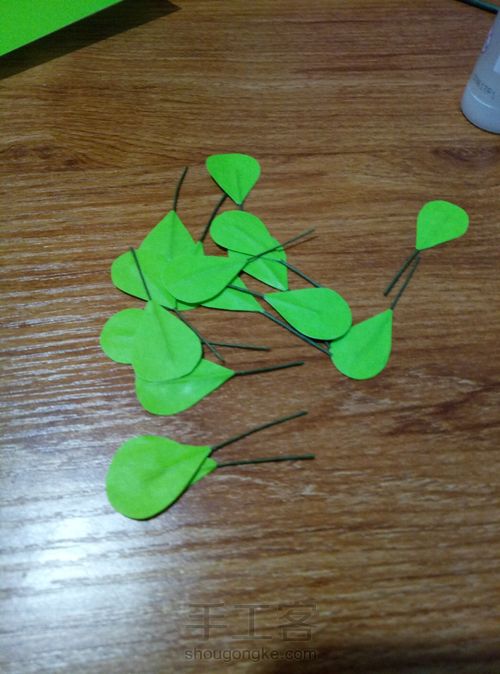 冬青叶？ 第9步