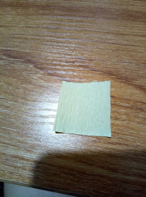 皱纹纸——尤加利叶 第1步