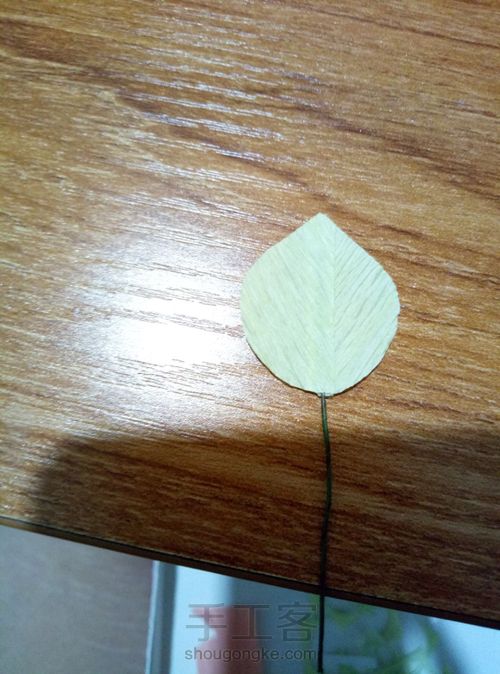 皱纹纸——尤加利叶 第10步