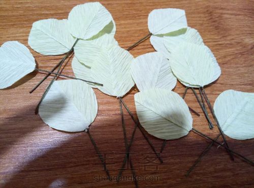 皱纹纸——尤加利叶 第11步