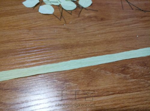 皱纹纸——尤加利叶 第12步