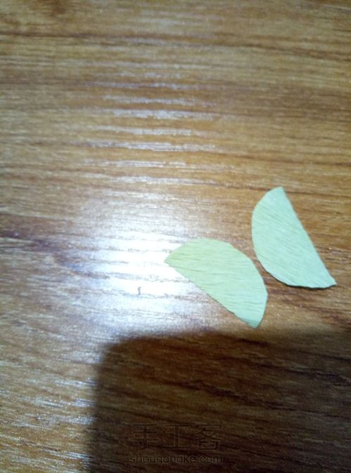 皱纹纸——尤加利叶 第5步