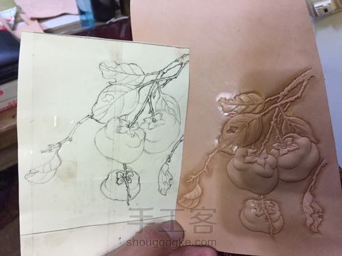 随手画的一棵柿子 第3步