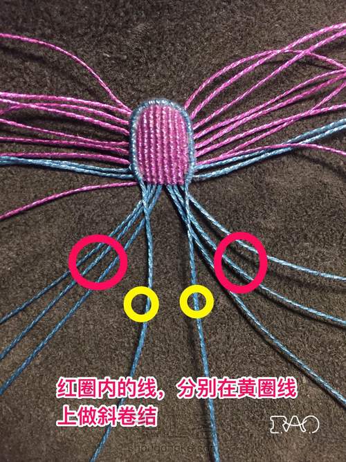 心蕊花 第17步