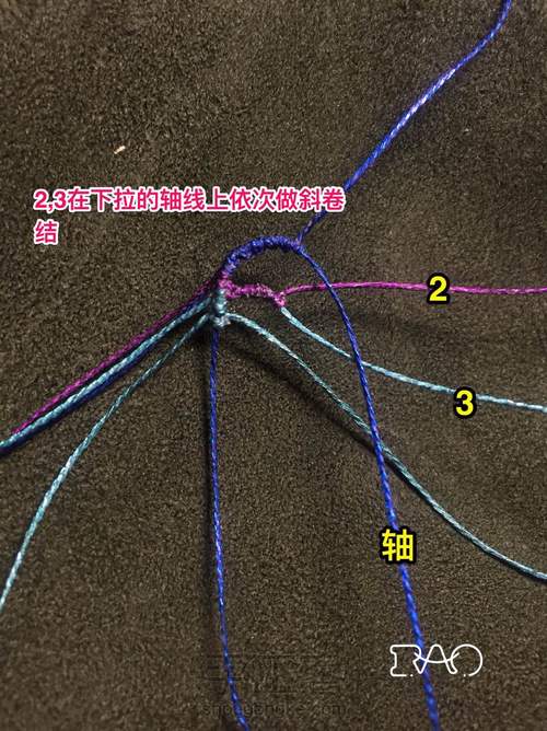 心蕊花 第36步