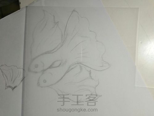 梦幻鱼~ 第1步