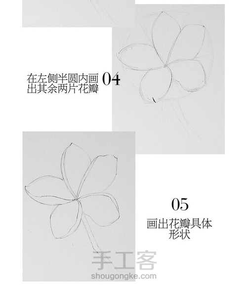 彩铅：鸡蛋花鸡蛋花 第4步