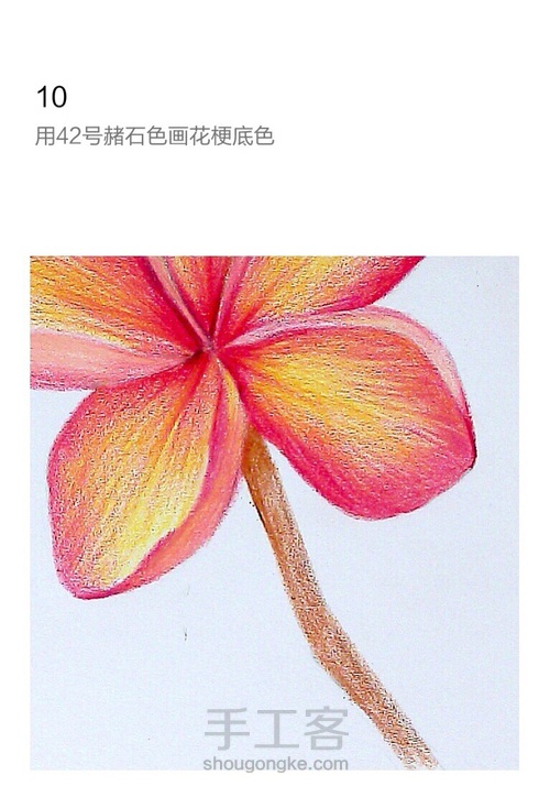 彩铅：鸡蛋花鸡蛋花 第9步