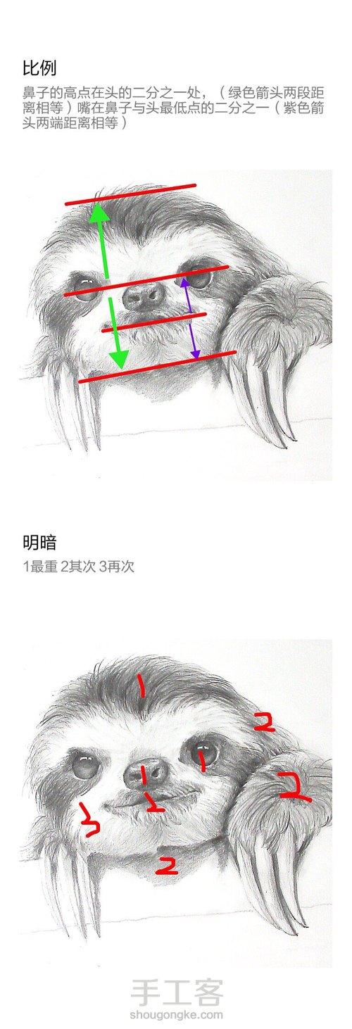 萌宠  小树懒 第1步