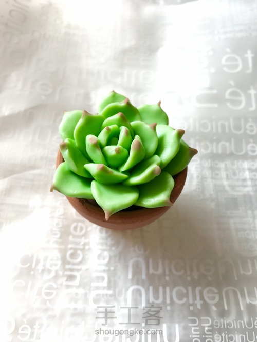 零基础逼真多肉之软陶入门DIY静夜 第11步