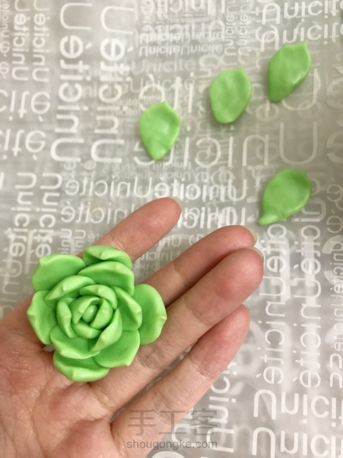 零基础逼真多肉之软陶入门DIY静夜 第8步