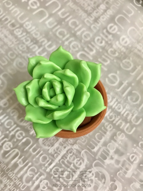 零基础逼真多肉之软陶入门DIY静夜 第10步