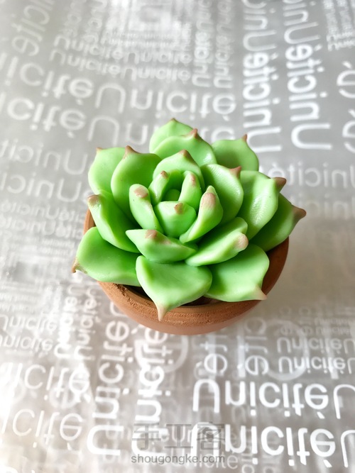 零基础逼真多肉之软陶入门DIY静夜 第12步