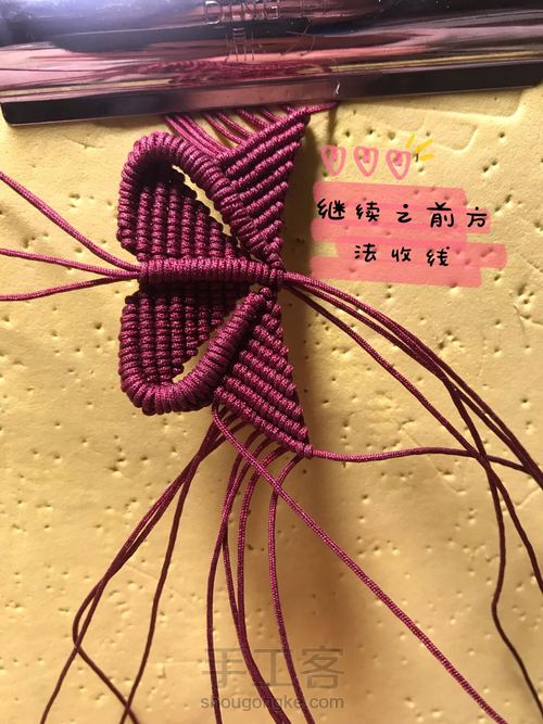 蝴蝶 第22步
