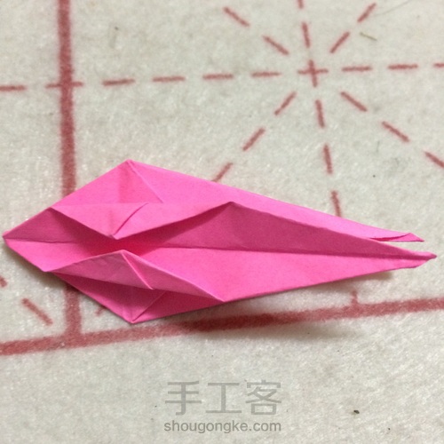 三瓣鸢尾花 第28步