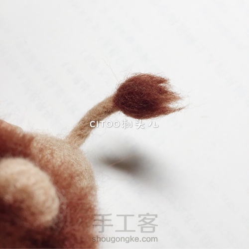 无脸小狮子～⸜( ॑꒳ ॑ )⸝ 第10步