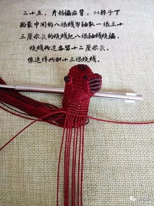 小马 第26步