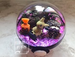 虽然🎃已经过去了很久啦，不过为了阴森森又不失可爱的环境效果还是采用了很多万圣相关配件🎃👻😈成品简直非常满意超级可爱的呦～大家可以一直搞起来😝