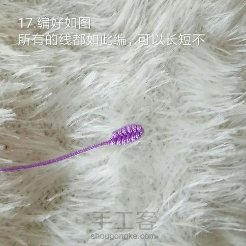 猫头鹰 第17步