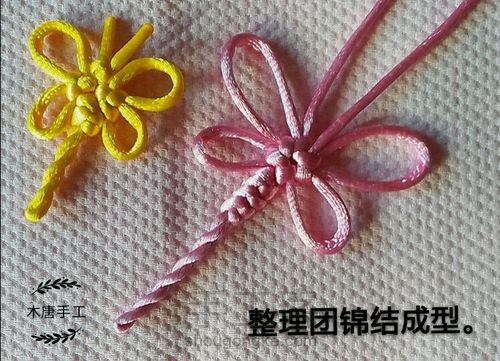 一只蜻蜓 第11步