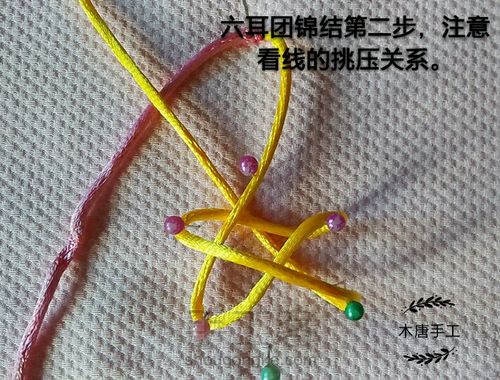 一只蜻蜓 第4步