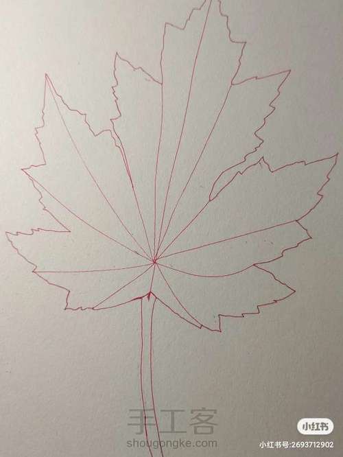 禅绕画枫叶🍁 第2步