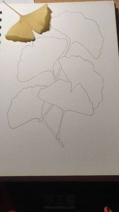 禅绕画之银杏叶 第1步