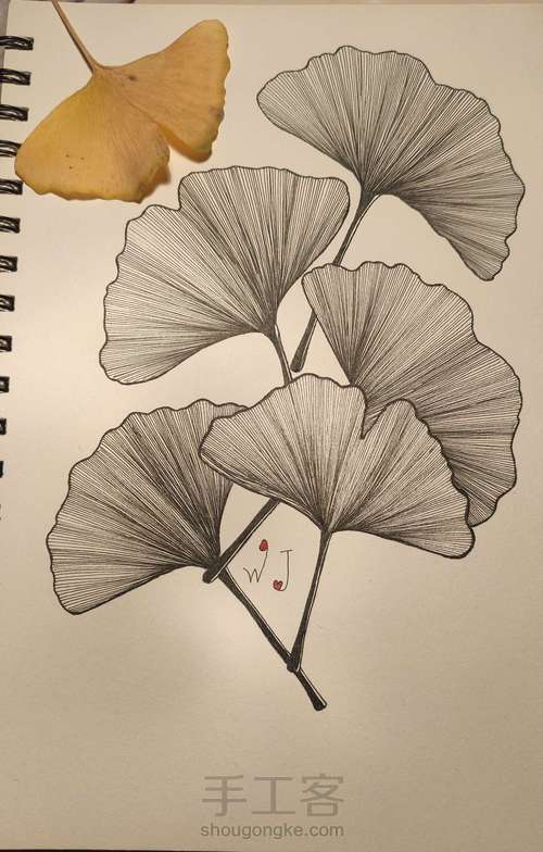 禅绕画之银杏叶 第3步