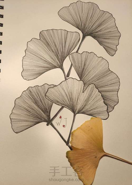 禅绕画之银杏叶 第4步