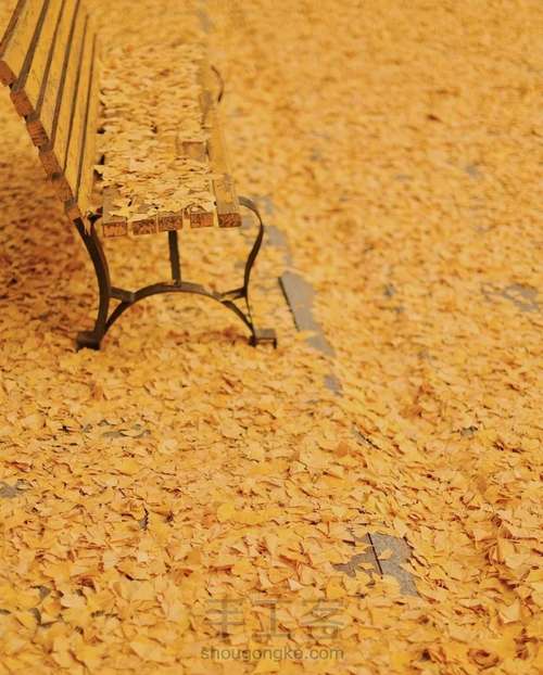 禅绕画之银杏叶 第6步