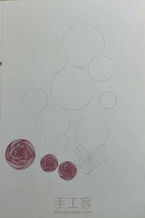 玫瑰 第1步