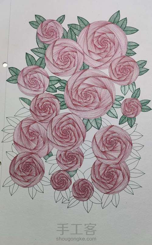 玫瑰 第5步