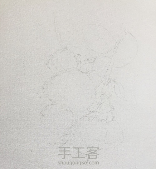 漂亮的彩铅画～小树莓 第1步
