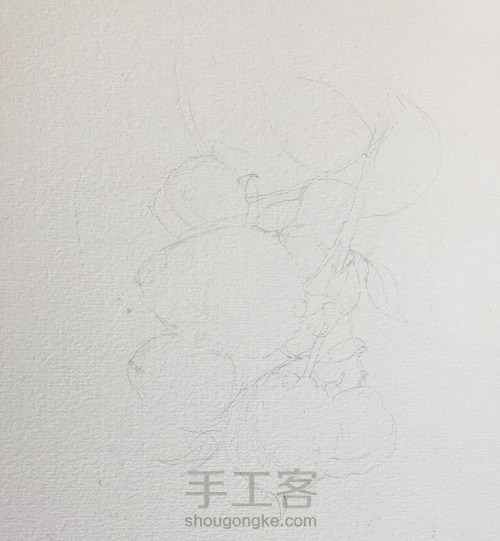 漂亮的彩铅画～小树莓 第1步