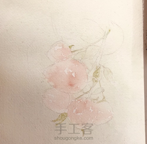 漂亮的彩铅画～小树莓 第2步