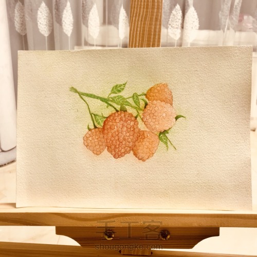 漂亮的彩铅画～小树莓 第3步
