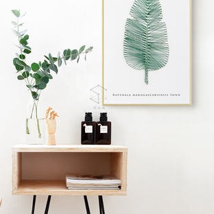 北欧绿植DIY纱线画立体装饰画墙蛙弦丝画