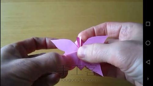 会动的蝴蝶 第9步