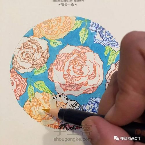 禅圆  彩色禅绕插画《暖冬如花》 第15步