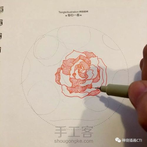 禅圆  彩色禅绕插画《暖冬如花》 第4步